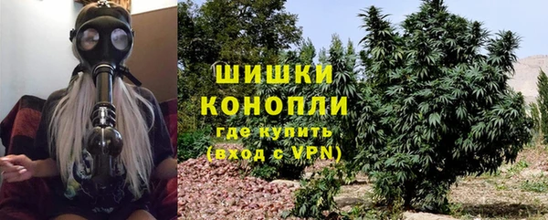 прущие грибы Арсеньев