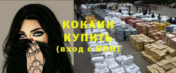 прущие грибы Арсеньев