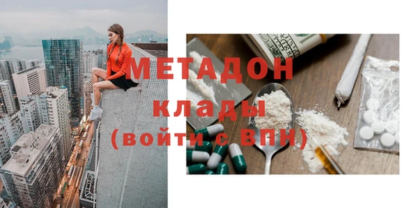 прущие грибы Арсеньев