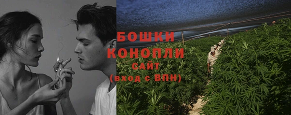 прущие грибы Арсеньев