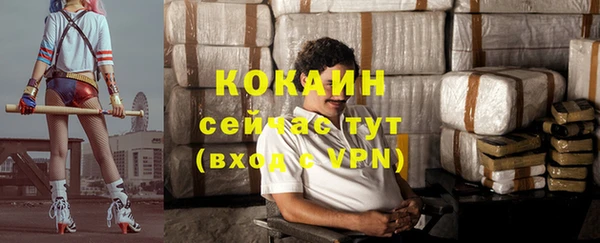 прущие грибы Арсеньев