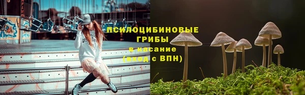 мет Аркадак