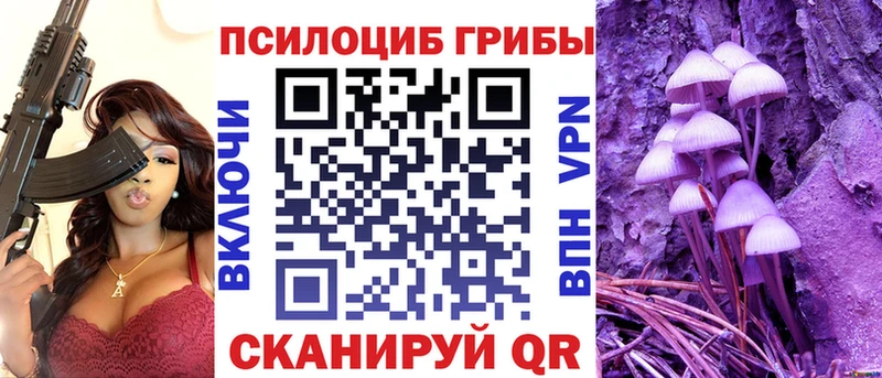 наркошоп Сретенск mega сайт дарк нет телеграм Галлюциногенные грибы прущие грибы